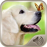 dog sounds ringtones android application logo